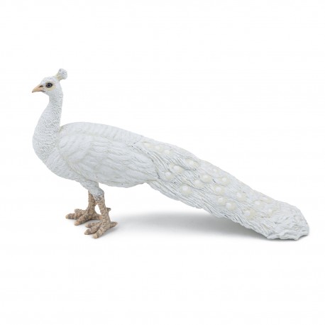 Pavo Blanco - Papo
