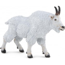 Cabra de Canada - Papo