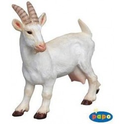 Cabra Blanca - Papo