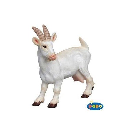 Cabra Blanca - Papo
