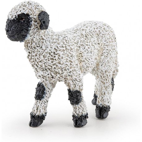 Cordero Nariz Negra del Valais - Papo