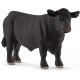 Toro Black Angus - Schleich