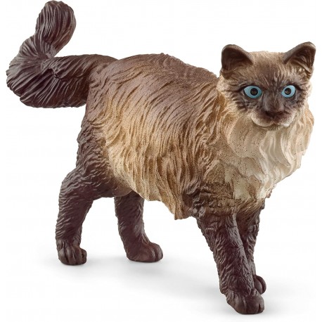 Gato Ragdoll - Schleich