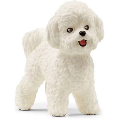 Perro Bichon Frisé - Schleich