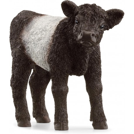 Ternero Galloway - Schleich