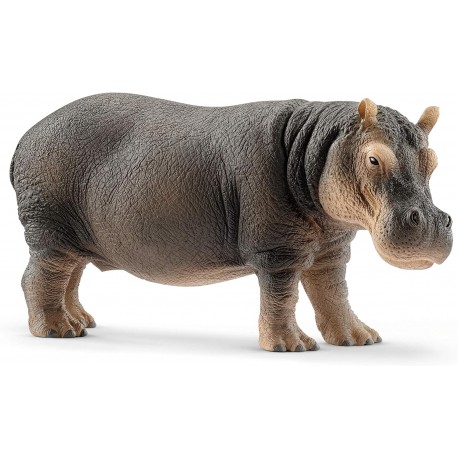 Hipopótamo - Schleich