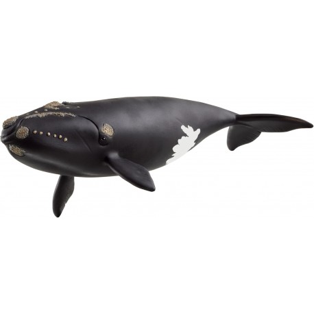 Ballena Franca Glacial - Schleich