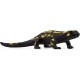 Salamandra - Schleich