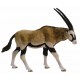 Antílope Oryx - Papo