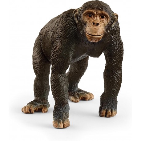 Chimpance - Schleich