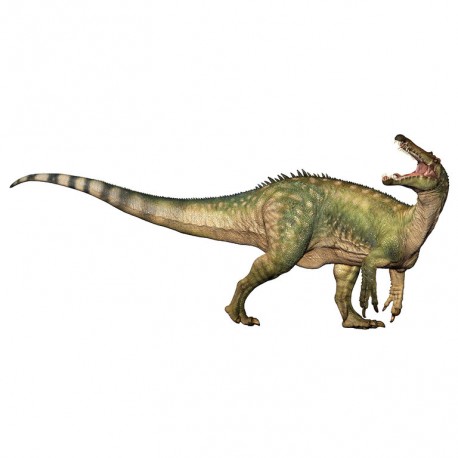 Suchomimus - PAPO