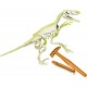 Arqueojugando Velociraptor Fluorescente - Clementoni