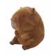 Peluche Capibara Suave CAPY MEL 22 cm - Peluches