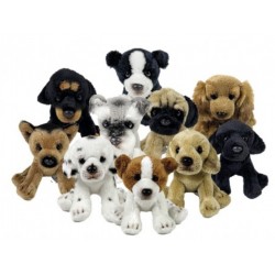 PELUCHE PERRO SURTIDO 12CM EN EXPOSITOR BOCALAN - Deqube