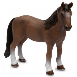 Caballo Castaño - Toinsa