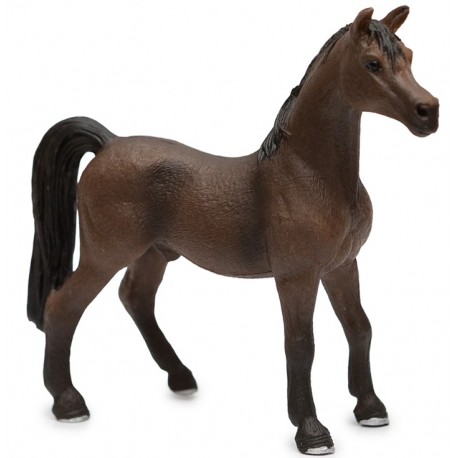 Caballo Arabe Negro - Toinsa