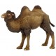 Camello de Bactriane - Papo