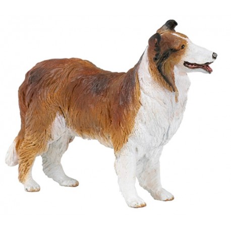 Collie - Papo