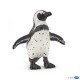 Pingüino Africano - Papo