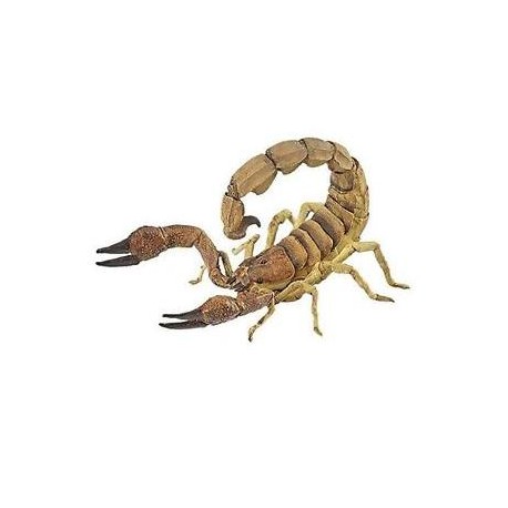 Escorpion - Papo