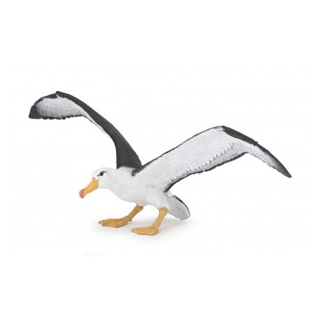 Albatros - Papo