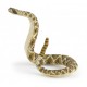 Serpiente de Cascabel - Papo