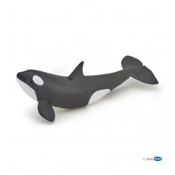 Orca Cria - Papo