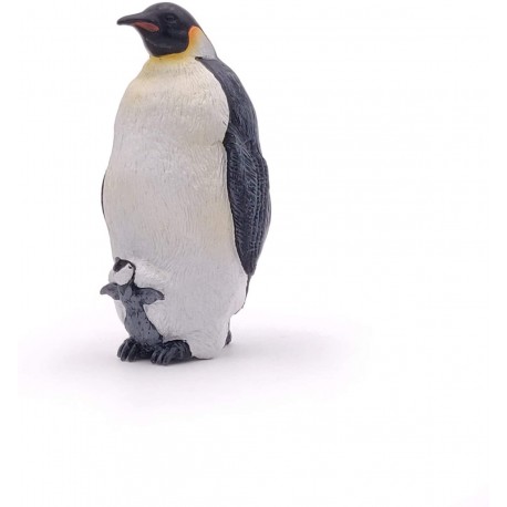 Pingüino emperador - Papo