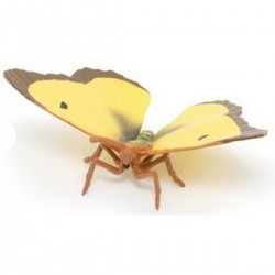 Mariposa Amarilla Nublada - Papo