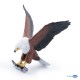 Águila Pescadora Africana - Papo