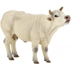Vaca Charolais mugiendo - Papo