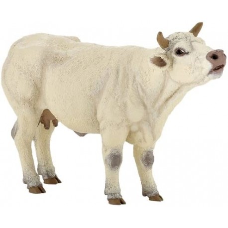 Vaca Charolais mugiendo - Papo