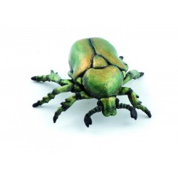 Escarabajo Europeo - Papo